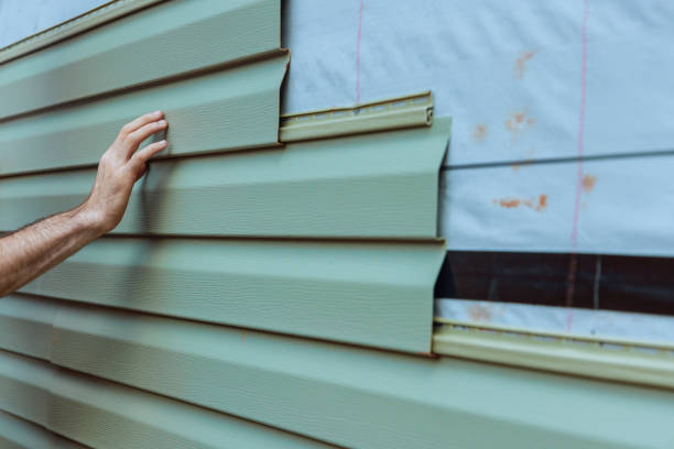 Affordable Siding Repair and Maintenance Services in Celina, OH